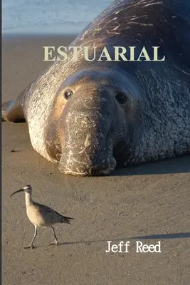 Estuaire - Estuarial