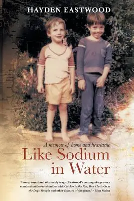 Comme le sodium dans l'eau : Mémoires d'un foyer et d'un chagrin d'amour - Like Sodium in Water: A memoir of home and heartache