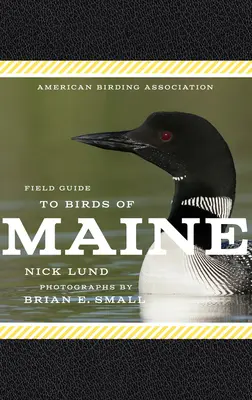 Guide de terrain de l'American Birding Association pour les oiseaux du Maine - American Birding Association Field Guide to Birds of Maine