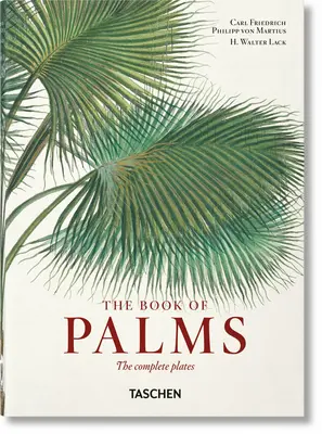 Von Martius. Le livre des palmiers. 40e éd. - Von Martius. the Book of Palms. 40th Ed.
