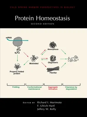 L'homéostasie protéique, deuxième édition - Protein Homeostasis, Second Edition