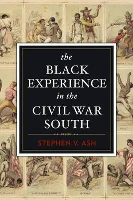 L'expérience des Noirs dans le Sud de la guerre de Sécession - The Black Experience in the Civil War South