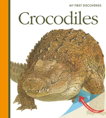 Les crocodiles - Crocodiles