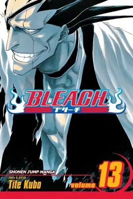 Bleach, Vol. 13 : Volume 13 - Bleach, Vol. 13: Volume 13