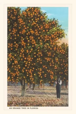 Journal d'époque Orangers - Vintage Journal Orange Trees
