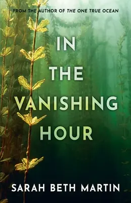 Dans l'heure qui passe - In the Vanishing Hour