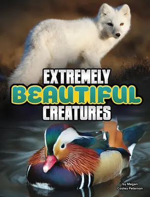 Créatures extrêmement belles - Extremely Beautiful Creatures