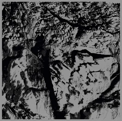 Michel Comte : Lumière - Michel Comte: Light