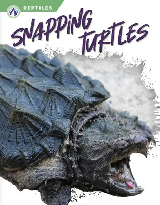 Tortues serpentines - Snapping Turtles