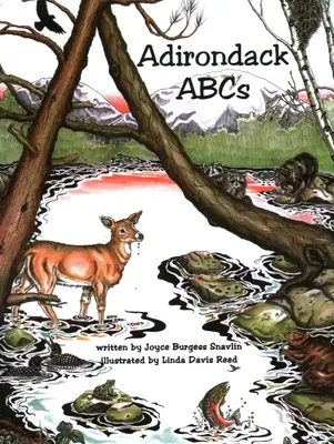 L'ABC des Adirondacks - Adirondack ABCs