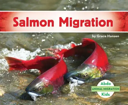 Migration du saumon - Salmon Migration
