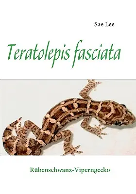 Teratolepis fasciata : Cigogne de Rbenschwanz - Teratolepis fasciata: Rbenschwanz-Viperngecko