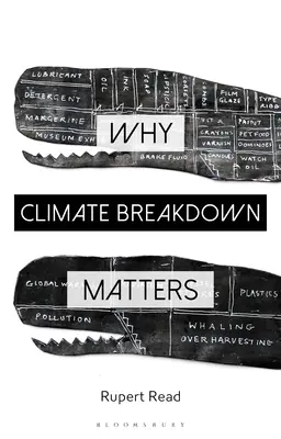 Pourquoi le dérèglement climatique est important - Why Climate Breakdown Matters