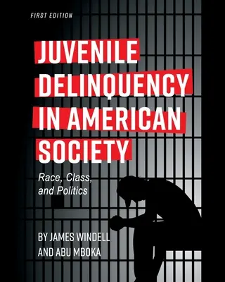 La délinquance juvénile dans la société américaine : Race, classe et politique - Juvenile Delinquency in American Society: Race, Class, and Politics