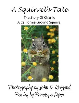 L'histoire d'un écureuil, l'histoire de Charlie, un écureuil de Californie - A Squirrel's tale, The Story Of Charlie, A California Ground Squirrel