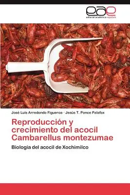 Reproduction et croissance de l'acocle Cambarellus Montezumae - Reproduccion y Crecimiento del Acocil Cambarellus Montezumae