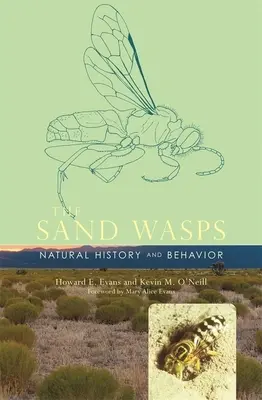 Les guêpes de sable : Histoire naturelle et comportement - Sand Wasps: Natural History and Behavior