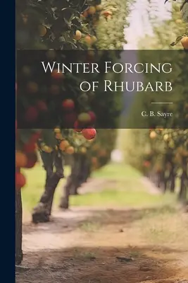 Forçage hivernal de la rhubarbe - Winter Forcing of Rhubarb