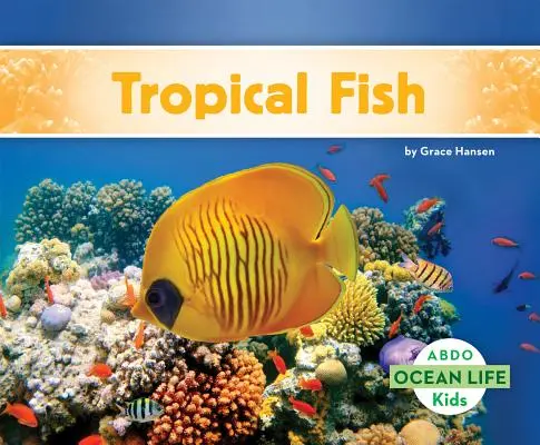 Poisson tropical - Tropical Fish