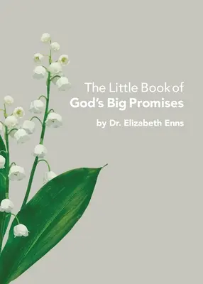 Le petit livre des grandes promesses de Dieu - The Little Book of God's Big Promises