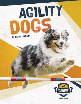 Chiens d'agilité - Agility Dogs