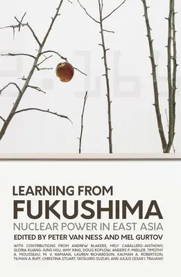 Tirer les leçons de Fukushima : L'énergie nucléaire en Asie de l'Est - Learning from Fukushima: Nuclear power in East Asia