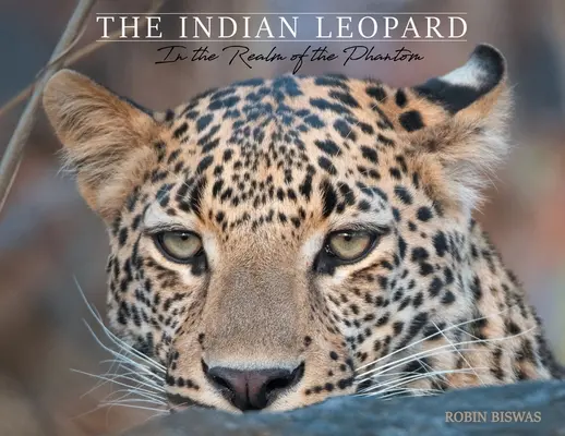 Le léopard indien : au royaume du fantôme - The Indian Leopard: In the Realm of the Phantom