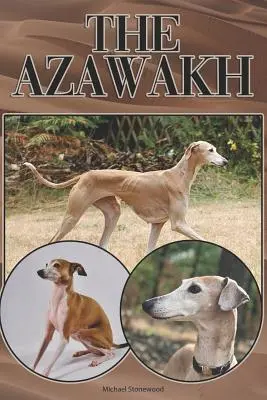 L'Azawakh : Un guide complet pour les débutants : L'achat, la possession, la santé, le toilettage, le dressage, l'obéissance, la compréhension - The Azawakh: A Complete and Comprehensive Beginners Guide To: Buying, Owning, Health, Grooming, Training, Obedience, Understanding