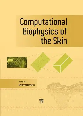 Biophysique computationnelle de la peau - Computational Biophysics of the Skin