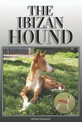 Le chien courant d'Ibiza : Un guide complet et exhaustif pour les propriétaires : L'achat, la possession, la santé, le toilettage, le dressage, l'obéissance, la compréhension et l'éducation. - The Ibizan Hound: A Complete and Comprehensive Owners Guide To: Buying, Owning, Health, Grooming, Training, Obedience, Understanding and