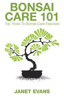 Soins des bonsaïs 101 : Les meilleurs trucs pour soigner les bonsaïs exposés - Bonsai Care 101: Top Tricks to Bonsai Care Exposed