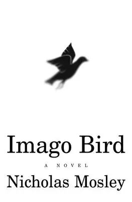L'oiseau Imago - Imago Bird