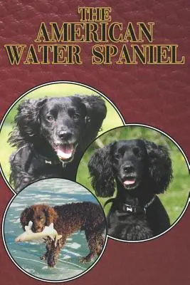 L'épagneul d'eau américain : un guide complet pour les débutants : L'achat, la possession, la santé, le toilettage, le dressage, l'obéissance, la compréhension... - The American Water Spaniel: A Complete and Comprehensive Beginners Guide To: Buying, Owning, Health, Grooming, Training, Obedience, Understanding