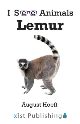 Lémurien - Lemur