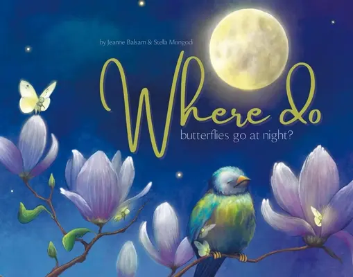 Où vont les papillons la nuit ? - Where Do Butterflies Go at Night?