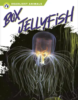 Méduses en boîte - Box Jellyfish