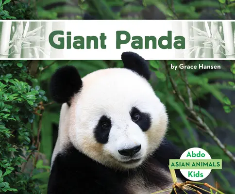 Panda géant - Giant Panda