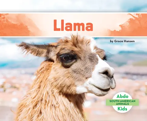 Lamas - Llama