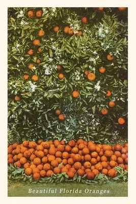 Journal d'époque Oranges, Floride - Vintage Journal Oranges, Florida