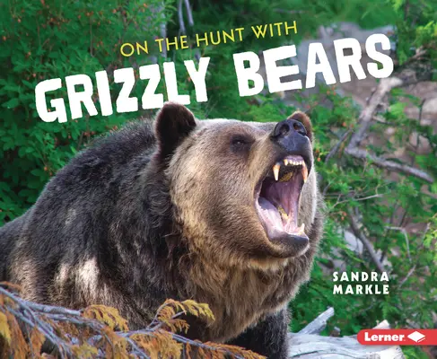 À la chasse au grizzli - On the Hunt with Grizzly Bears