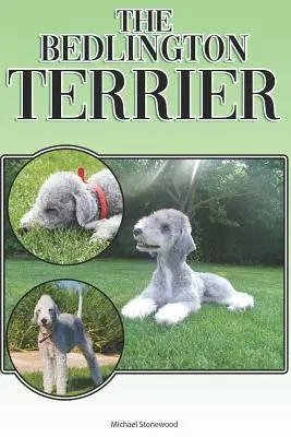 Le Bedlington Terrier : Un guide complet et détaillé pour les débutants : L'achat, la possession, la santé, le toilettage, le dressage, l'obéissance, la compréhension... - The Bedlington Terrier: A Complete and Comprehensive Beginners Guide To: Buying, Owning, Health, Grooming, Training, Obedience, Understanding