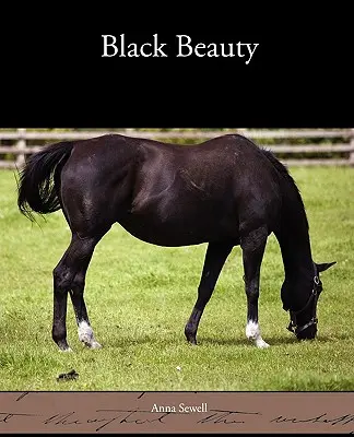 Beauté Noire - Black Beauty
