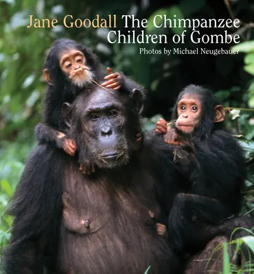 Les enfants chimpanzés de Gombe - Chimpanzee Children of Gombe