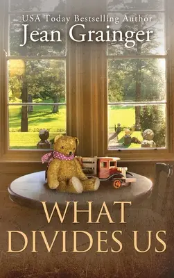 Ce qui nous divise : L'histoire du pont de Kilteegan - Livre 2 - What Divides Us: The Kilteegan Bridge Story - Book 2