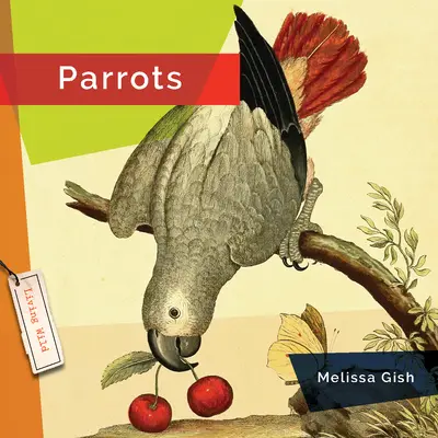 Perroquets - Parrots