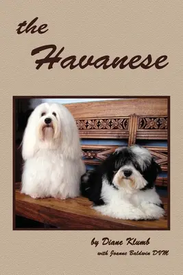 Le havanais - The Havanese