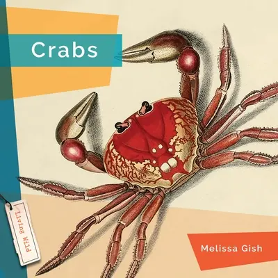 Crabes - Crabs