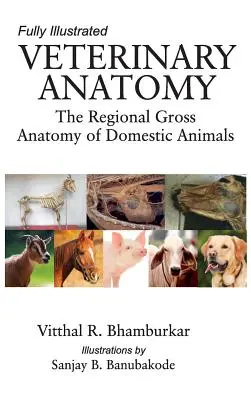 Anatomie vétérinaire : l'anatomie régionale des animaux domestiques : Entièrement illustré - Veterinary Anatomy: The Regional Gross Anatomy of the Domestic Animals: Fully Illustrated