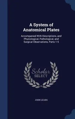 Un système de planches anatomiques : Accompagnées de descriptions et d'observations physiologiques, pathologiques et chirurgicales, parties 1-5 - A System of Anatomical Plates: Accompanied With Descriptions, and Physiological, Pathological, and Surgical Observations, Parts 1-5
