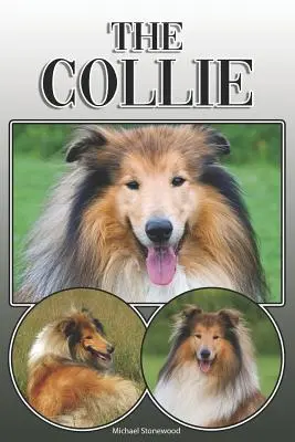 Le Collie : un guide complet et détaillé pour les propriétaires : L'achat, la propriété, la santé, le toilettage, le dressage, l'obéissance, la compréhension et l'éducation. - The Collie: A Complete and Comprehensive Owners Guide To: Buying, Owning, Health, Grooming, Training, Obedience, Understanding and
